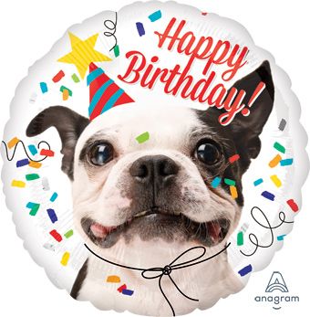 Happy Birthday Dog Balloon - 5-Pack - Image 1