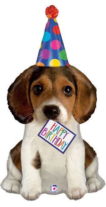 Birthday Puppy Balloon - 3-Pack - Image 1