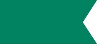 Emerald Green Balloon 200 YD - Party Supplies - Image 1