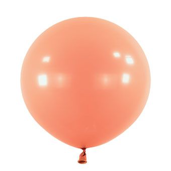 Coral Balloon - Party Supplies - Image 1