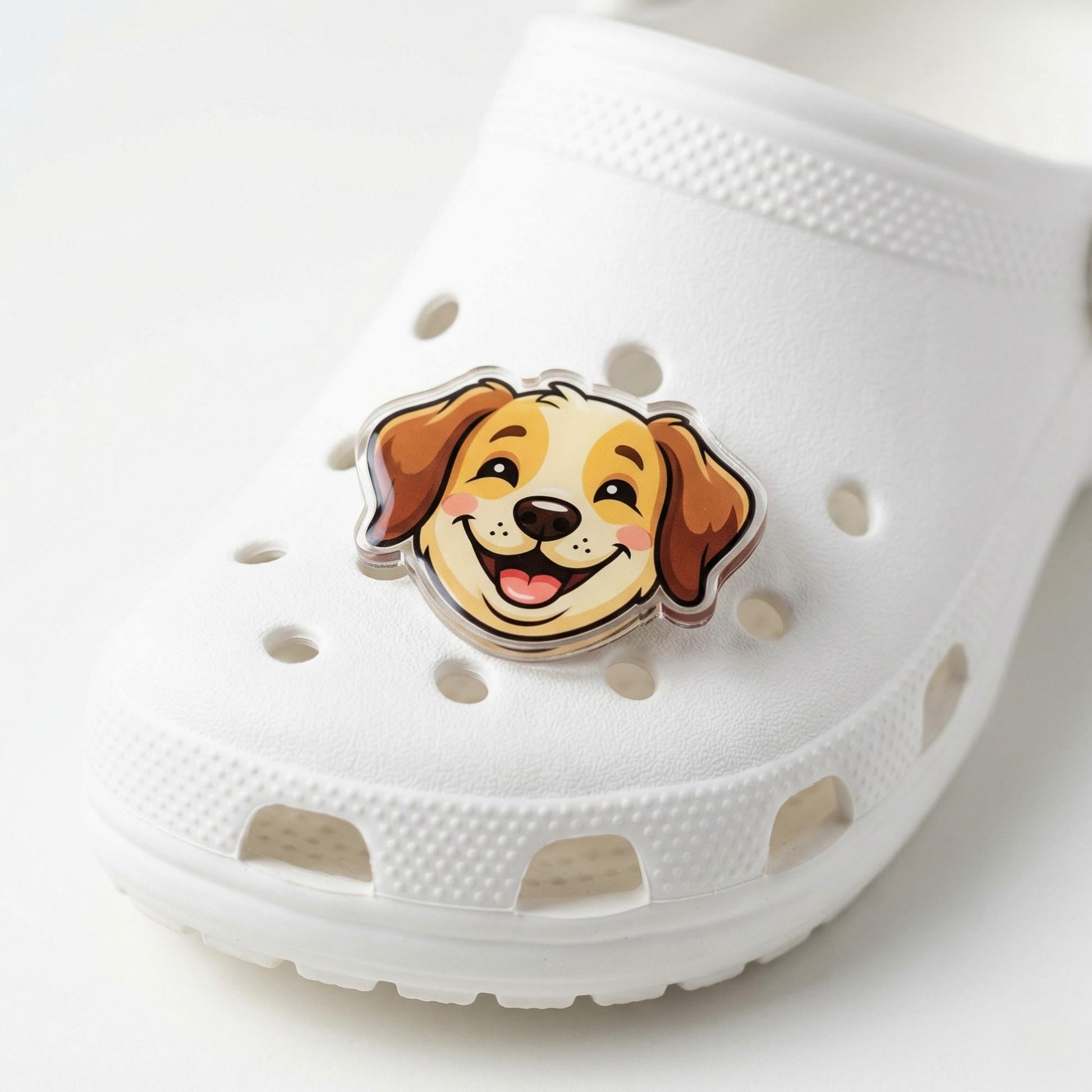 Custom Photo Name Clog Charm, Full Color Die Cut Acrylic - 1